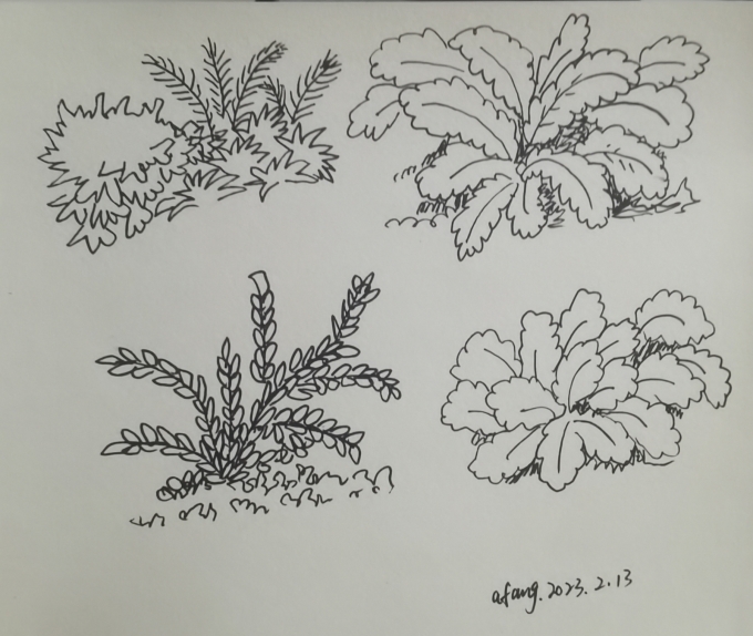 每日一画_线描画