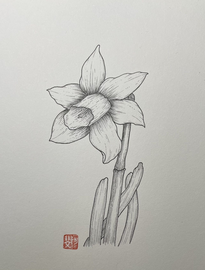 春天的花花6_线描画