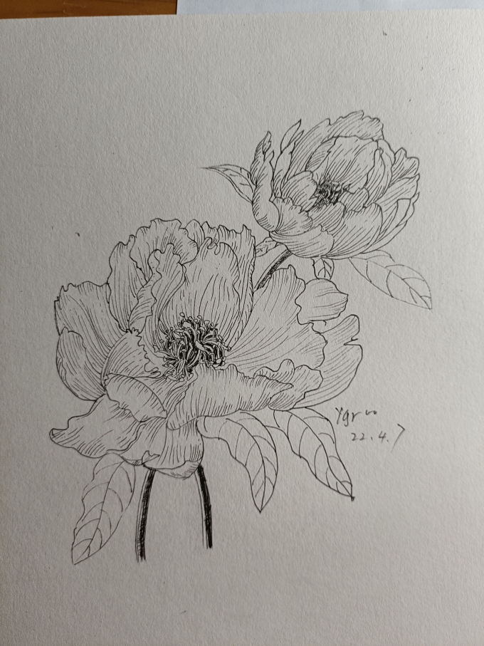 。。。。。虽然是年初。。我还是很努力滴。。。_线描画