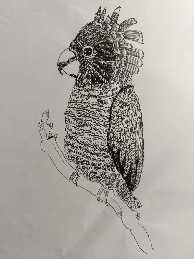 。。。。。。。_线描画