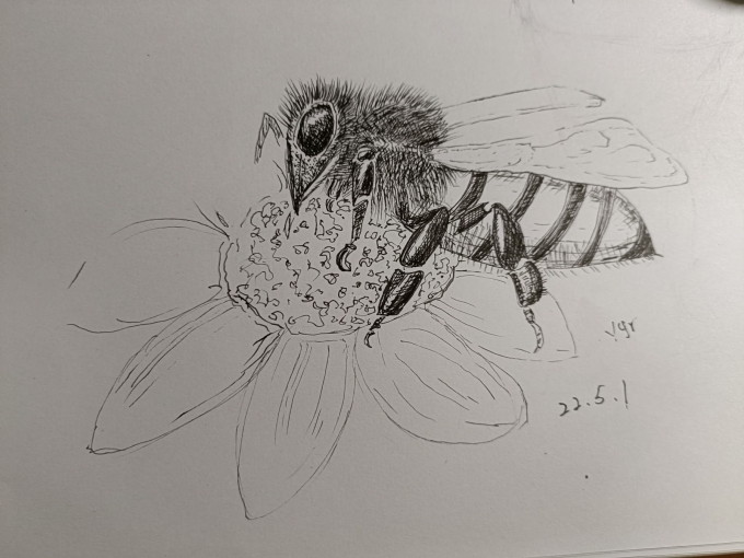 。。。。。_线描画