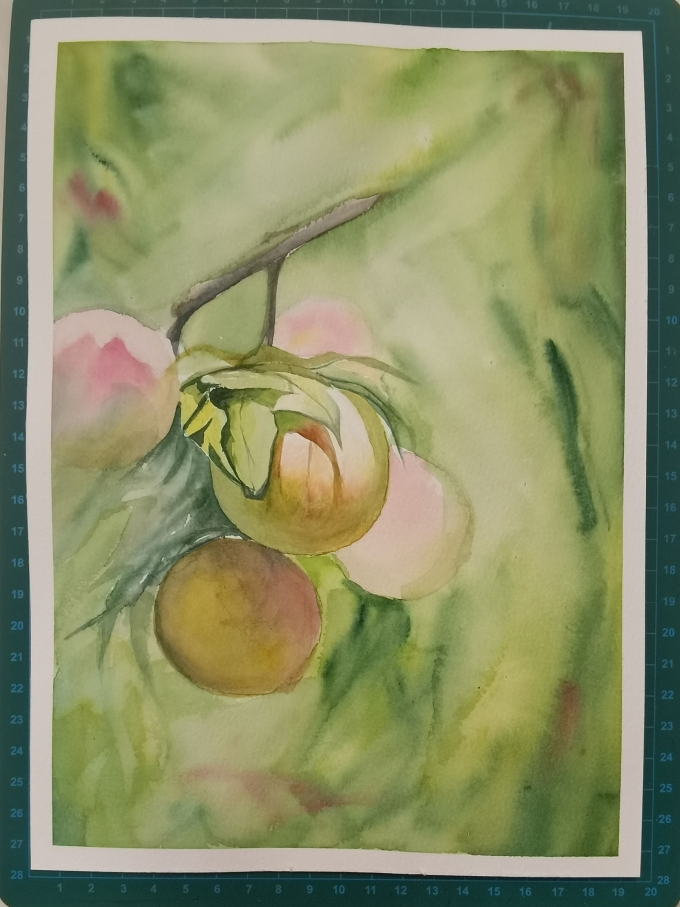 桃子_线描画