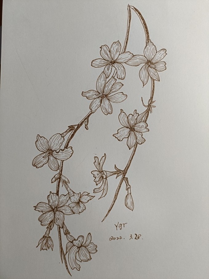 。。。。。虽然是年初。。我还是很努力滴。。。_线描画