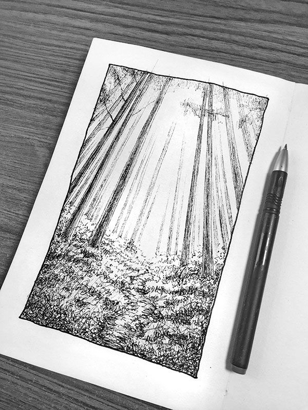 黑暗森林--乱画系列第四弹_线描画