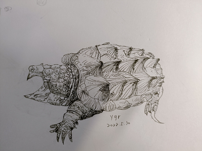 出问题了。。。_线描画