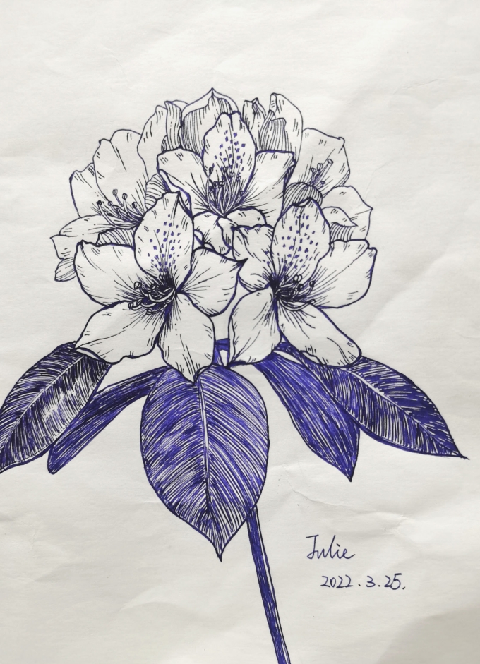 打个卡_线描画