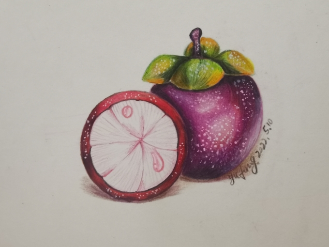 山竹_线描画