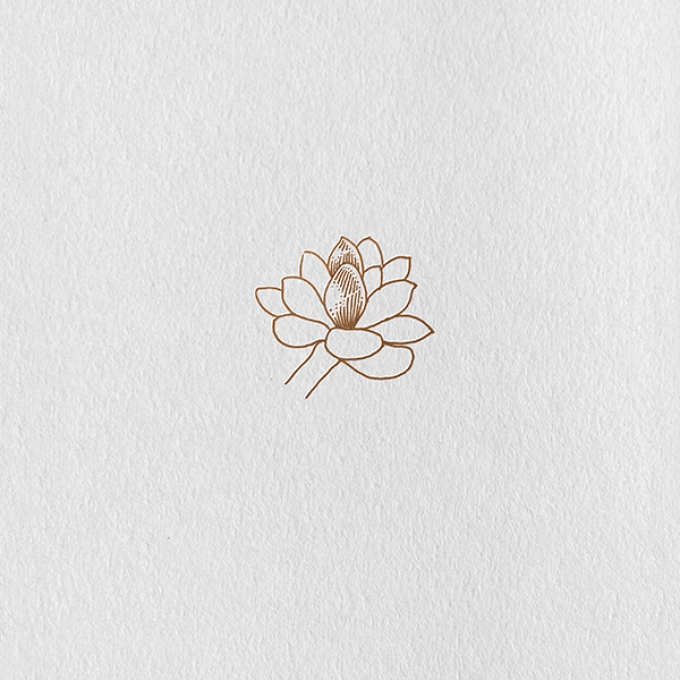 今天就画个简单的多肉吧_线描画