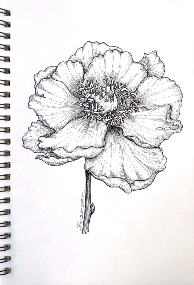D2～_线描画