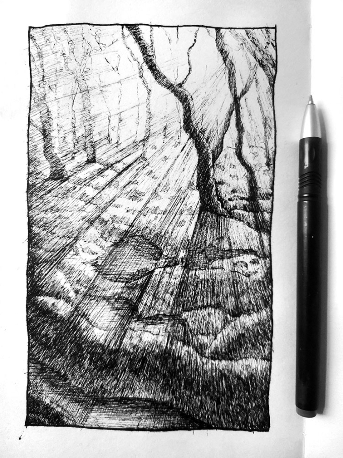 黑暗森林--乱画系列第一弹_线描画
