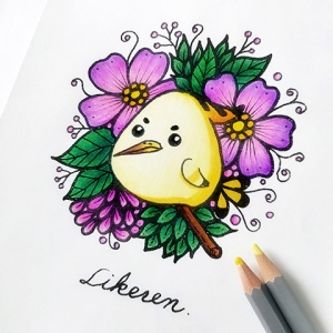卡通戴胜鸟的彩铅上色过程
