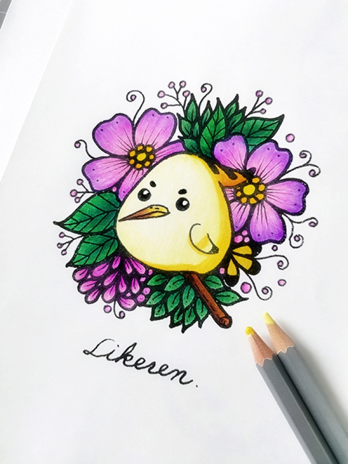 卡通戴胜鸟的彩铅上色过程_线描画
