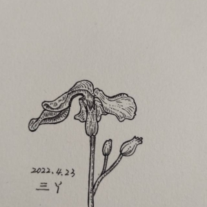 错过春天