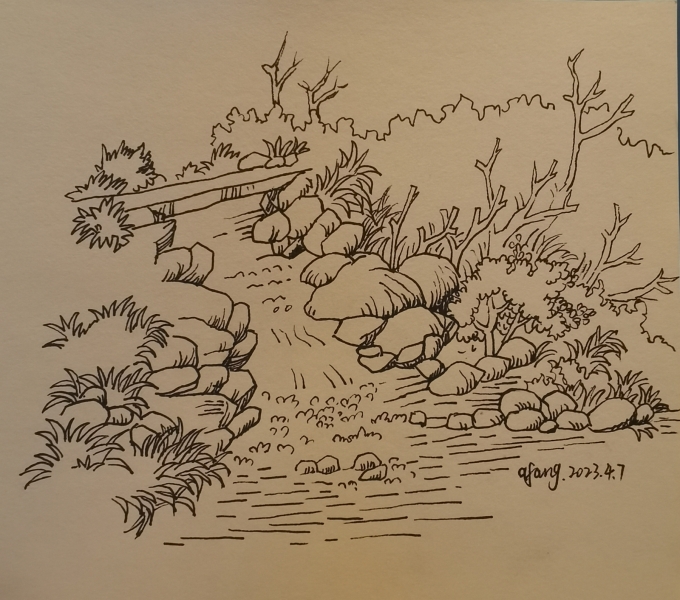 每日一画_线描画