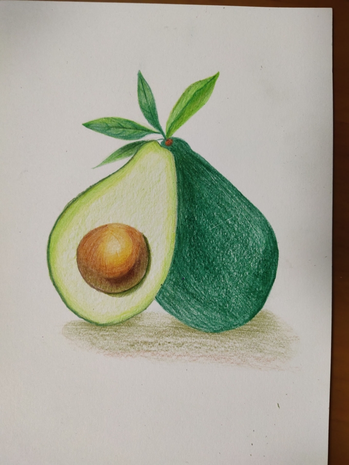 牛油果_线描画