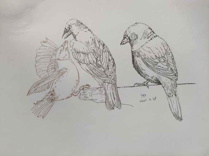 发存货_线描画