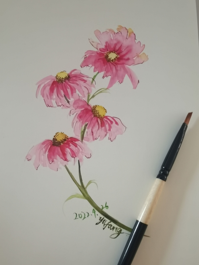 随笔小花_线描画