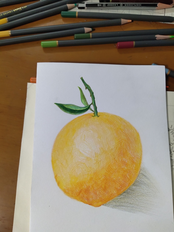 桔子_线描画