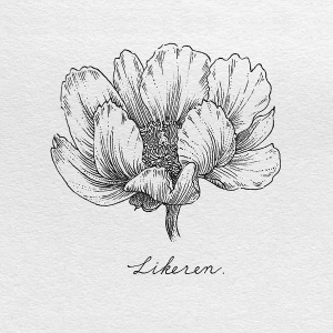 芍药
