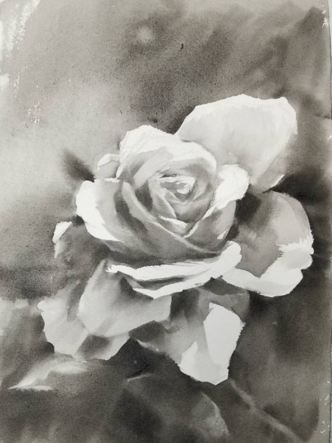 水彩黑白光影练习_线描画