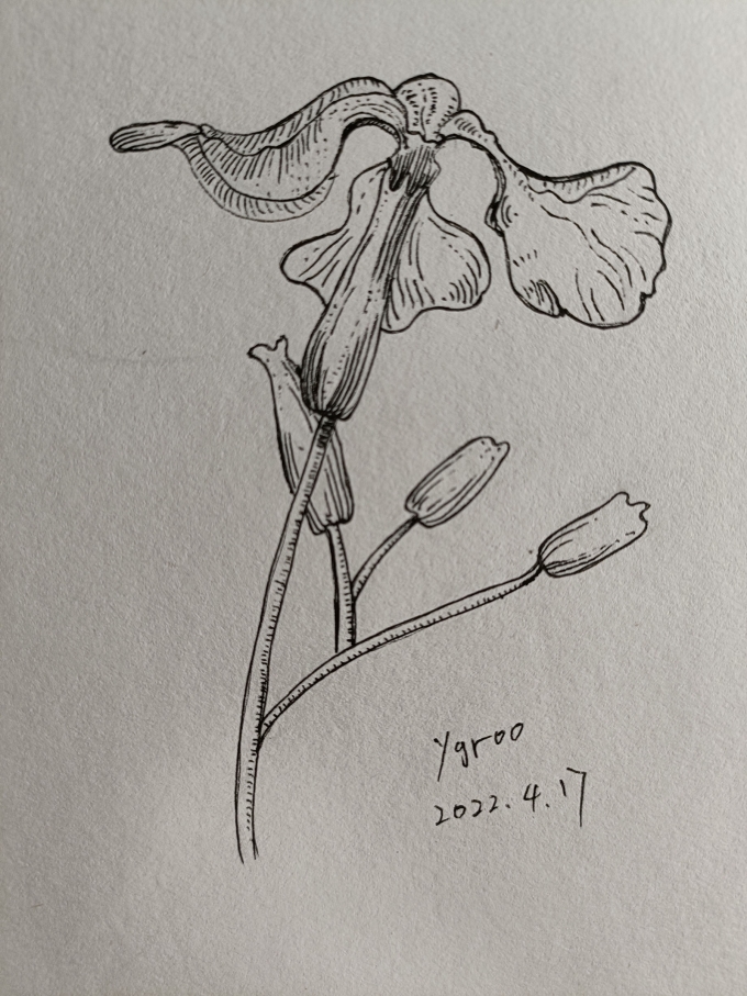 挖坑系列四_线描画