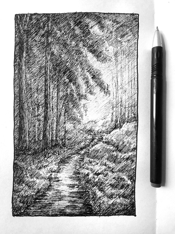 黑暗森林--乱画系列第二弹_线描画