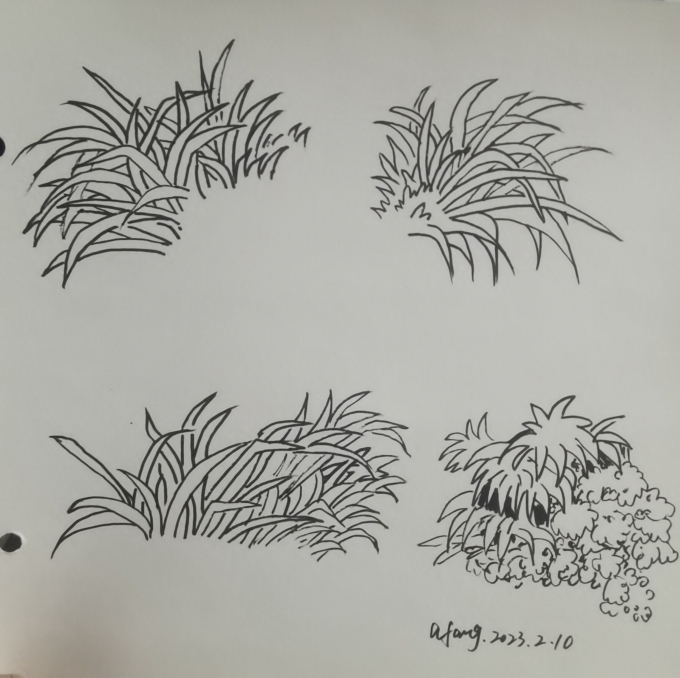每日一画_线描画