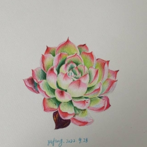 每日一画