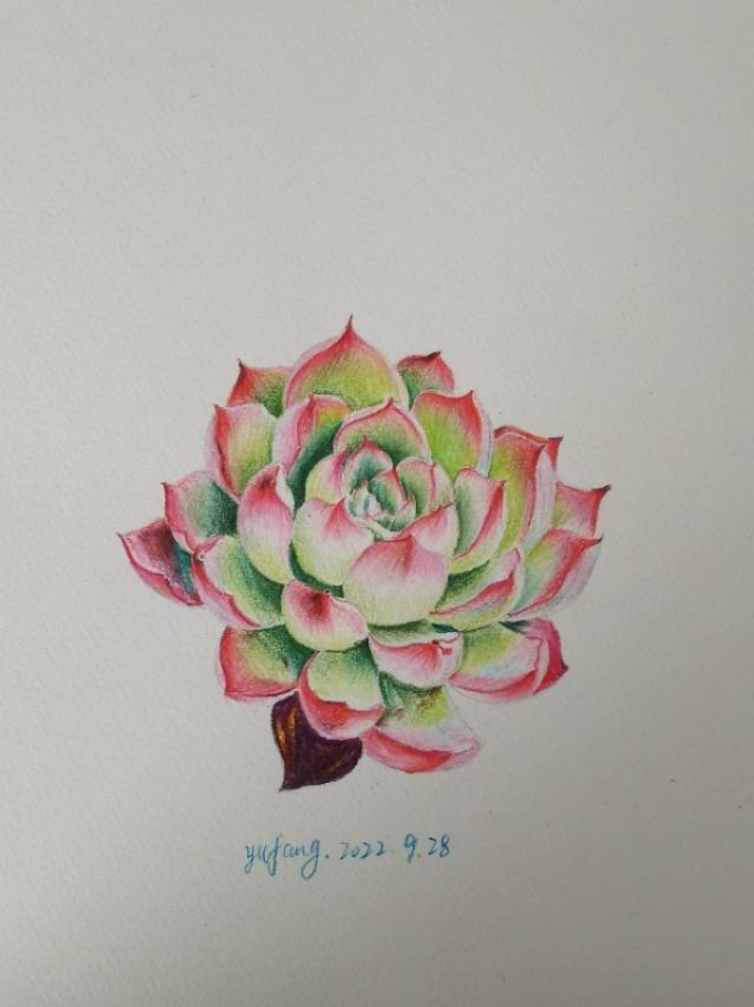 每日一画_线描画