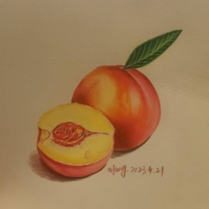 彩铅《油桃》