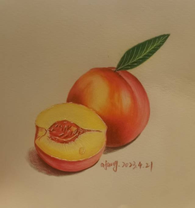 彩铅《油桃》_线描画