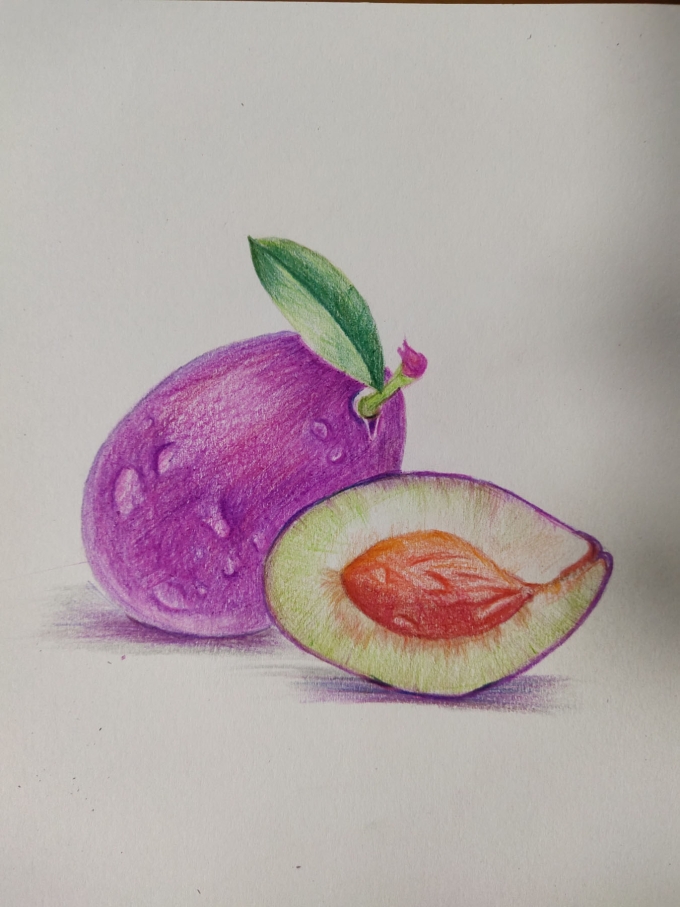 西梅_线描画