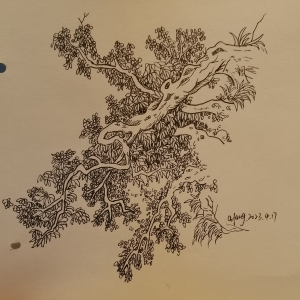倒垂古树